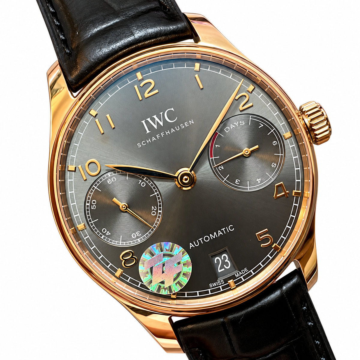 IWC Pilot's Watch 42.3mm Endangered Language Linguist Automatic Steel Watch